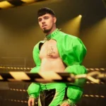 onko käärijä homo